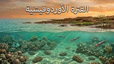 صورة توضيحية واقعية للفترة الأوردوفيشية تُظهر محيطاً قديماً ضحلاً يحتوي على شعاب مرجانية بدائية وكائنات بحرية مثل ثلاثية الفصوص ونوتيلويدات مع ساحل صخري تنمو عليه نباتات بدائية في مناخ دافئ ورطب