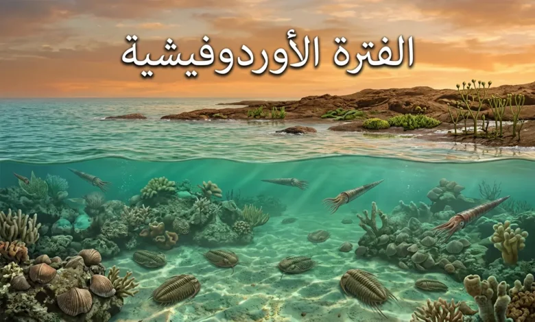 صورة توضيحية واقعية للفترة الأوردوفيشية تُظهر محيطاً قديماً ضحلاً يحتوي على شعاب مرجانية بدائية وكائنات بحرية مثل ثلاثية الفصوص ونوتيلويدات مع ساحل صخري تنمو عليه نباتات بدائية في مناخ دافئ ورطب
