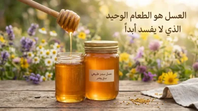 برطمان عسل طبيعي ذهبي مع ملعقة خشبية وأزهار برية – العسل هو الطعام الوحيد الذي لا يفسد أبداً