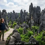 أعمدة حجرية كلسية ضخمة في غابة الأحجار شيلين بمقاطعة يونان الصينية مع شخص يتأملها