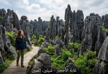 أعمدة حجرية كلسية ضخمة في غابة الأحجار شيلين بمقاطعة يونان الصينية مع شخص يتأملها