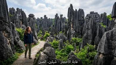 أعمدة حجرية كلسية ضخمة في غابة الأحجار شيلين بمقاطعة يونان الصينية مع شخص يتأملها