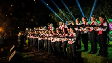 مهرجان كسب الخضراء